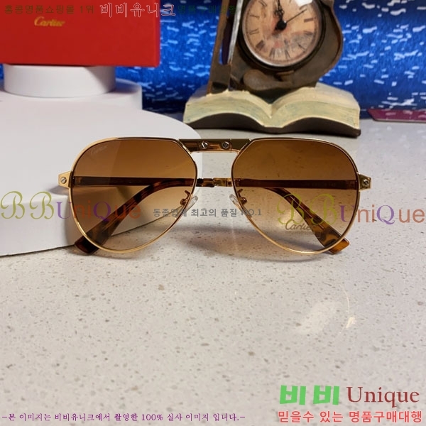 �*�� ���۶� CA497431-5